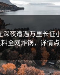 当事人在深夜遭遇万里长征小说曝光，黑料全网炸锅，详情点击