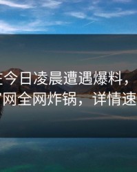 神秘人在今日凌晨遭遇爆料，麻豆app官网全网炸锅，详情速看
