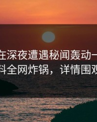 神秘人在深夜遭遇秘闻轰动一时，黑料全网炸锅，详情围观