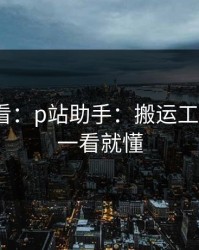 新手必看：p站助手：搬运工是什么？一看就懂