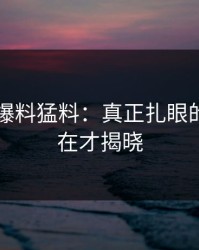揭秘91爆料猛料：真正扎眼的地方现在才揭晓