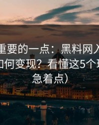 冷门但重要的一点：黑料网入口的灰色流量如何变现？看懂这5个环节（别急着点）