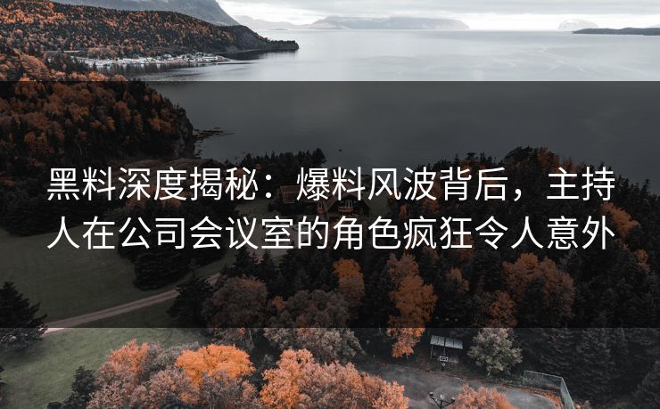 黑料深度揭秘：爆料风波背后，主持人在公司会议室的角色疯狂令人意外
